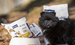 Hvad skal din hvalp have at spise?